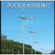 5米太陽(yáng)能路燈圖