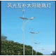 3米太陽能燈圖