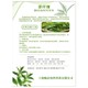 茶纖維紗線生產(chǎn)制造圖
