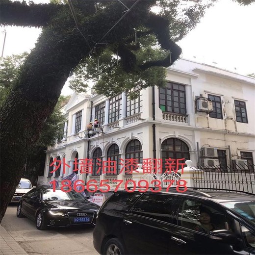 外墻清洗-廣安高空作業(yè)-戶外蜘蛛人-外墻維修