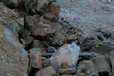 邢臺二氧化碳爆破設備廠家