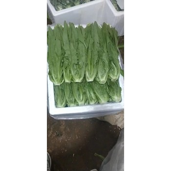 寶安生鮮配送品類-生鮮產品配送