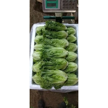 寶安生鮮配送品類-生鮮產品配送