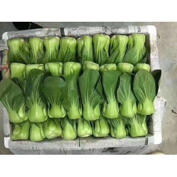 寶安生鮮配送品類-生鮮產品配送