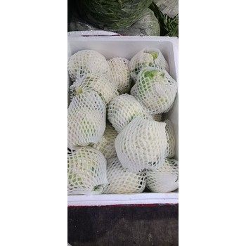 龍華生鮮配送中心-生鮮送菜公司
