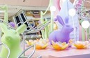 重慶室內(nèi)活動道具供應商圖片