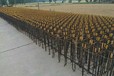 濟寧led升降高桿燈生產廠家學校體育場高桿燈指導安裝