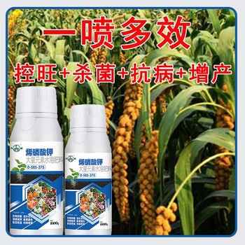 殺菌抗病高純度烯磷酸鉀定做,烯磷酸鉀廠家電話