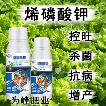 殺菌抗病高濃縮烯磷酸鉀什么時間用,烯磷酸鉀招商電話