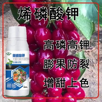 殺菌抗病高濃縮烯磷酸鉀生產(chǎn)廠家,為峰肥業(yè)廠家電話