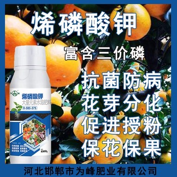 殺菌抗病高濃縮烯磷酸鉀什么時間用,烯磷酸鉀招商電話