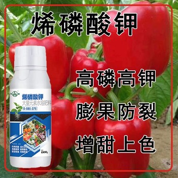 殺菌抗病烯磷酸鉀功效,烯磷酸鉀廠家批發(fā)