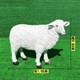 縣玻璃鋼羊雕塑圖