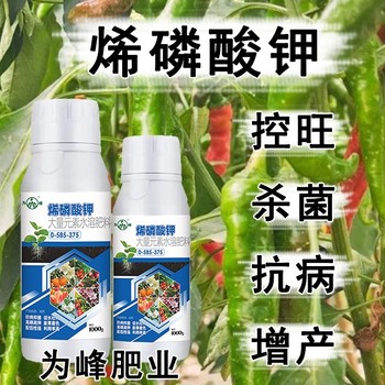 膨果增甜高純度烯磷酸鉀銷售經(jīng)理,為峰肥業(yè)業(yè)務經(jīng)理
