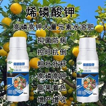 殺菌抗病烯磷酸鉀功效,烯磷酸鉀廠家批發(fā)
