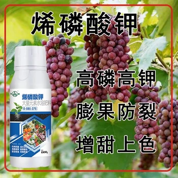 高磷高鉀高純度烯磷酸鉀經(jīng)銷商,烯磷酸鉀招商電話