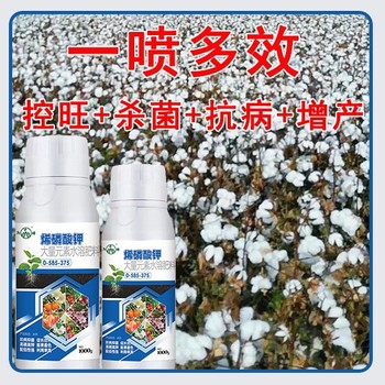 殺菌抗病高濃縮烯磷酸鉀生產(chǎn)廠家,為峰肥業(yè)廠家電話