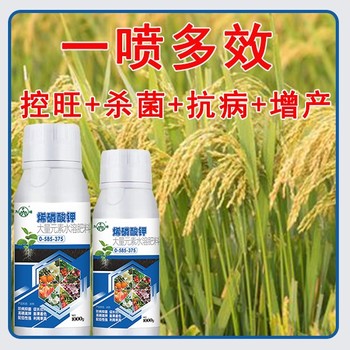 高磷高鉀烯磷酸鉀效果,烯磷酸鉀招商電話