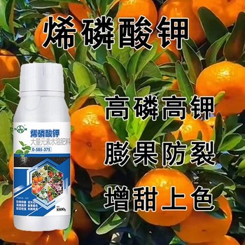 高磷高鉀高濃縮烯磷酸鉀什么時間用,烯磷酸鉀廠家電話
