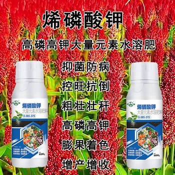 控旺用烯磷酸鉀效果,為峰肥業(yè)廠家電話