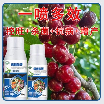 殺菌抗病高濃縮烯磷酸鉀什么時間用,烯磷酸鉀招商電話