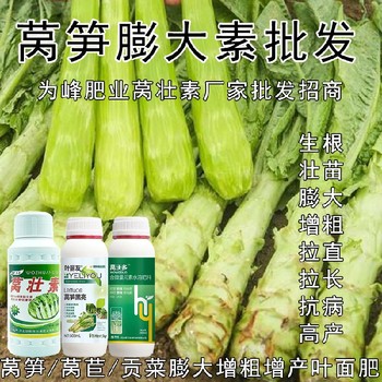 萵筍防空心萵筍增產(chǎn)葉面肥貼牌加工,萵筍葉面肥廠家