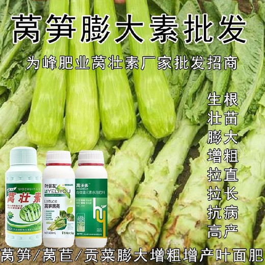 萵筍防抽苔萵壯素葉面肥貼牌,萵筍葉面肥廠家
