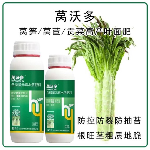 萵筍防空心萵筍三控葉面肥批發(fā),為峰肥業(yè)萵壯素