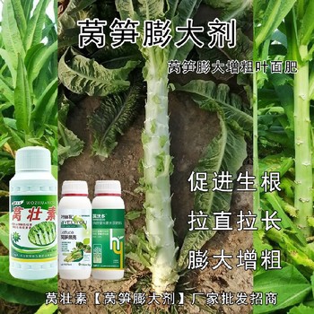 萵筍防空心萵筍增產(chǎn)葉面肥貼牌加工,萵筍葉面肥廠家