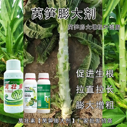 萵筍萵壯素葉面肥什么牌子好,為峰肥業(yè)萵壯素