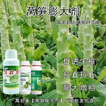 萵筍防抽苔萵沃多葉面肥貼牌,萵筍葉面肥廠家