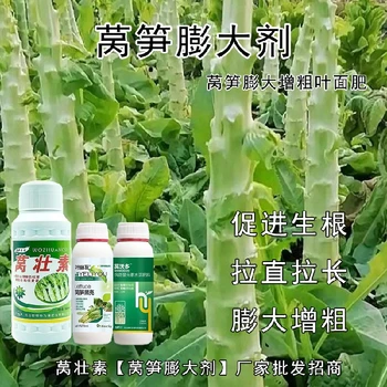 萵筍防抽苔萵壯素葉面肥貼牌,為峰肥業(yè)萵壯素