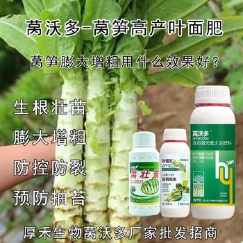 貢菜萵筍三控葉面肥哪個廠家好,萵筍葉面肥廠家