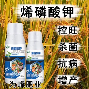 增產(chǎn)高純度烯磷酸鉀貼牌,為峰肥業(yè)業(yè)務(wù)經(jīng)理