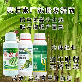 貢菜萵壯素葉面肥經銷商,為峰肥業(yè)萵壯素
