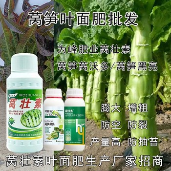 萵筍防抽苔萵沃多葉面肥貼牌,萵筍葉面肥廠家