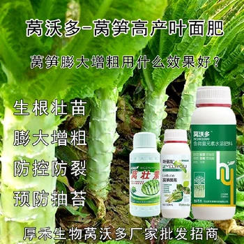 萵苣萵筍增產(chǎn)葉面肥經(jīng)銷商,萵筍葉面肥廠家