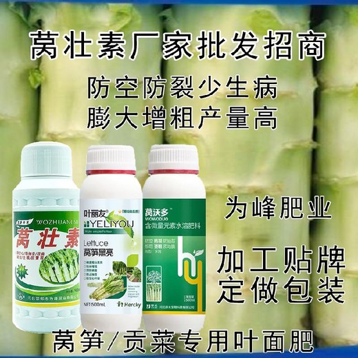 萵筍防裂萵筍黑亮葉面肥用法用量,為峰肥業(yè)萵壯素