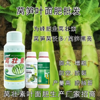 萵筍防空心萵筍粗直長葉面肥效果,萵筍葉面肥廠家