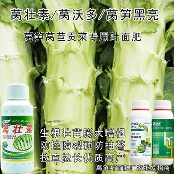 膨大增粗萵壯素葉面肥貼牌加工,萵筍葉面肥廠家