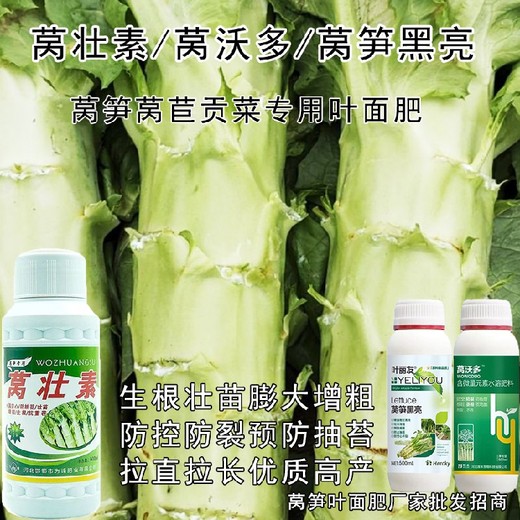 萵苣萵筍三控葉面肥生產(chǎn)廠家,萵筍葉面肥廠家
