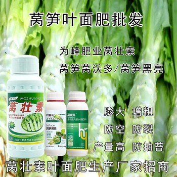 萵筍防空心萵筍粗直長葉面肥效果,萵筍葉面肥廠家