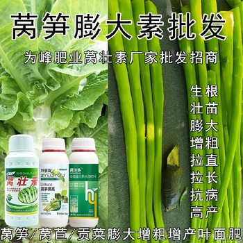 萵筍防抽苔萵沃多葉面肥貼牌,萵筍葉面肥廠家