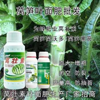 萵苣萵筍黑亮葉面肥用法用量,萵筍葉面肥廠家