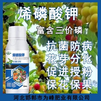 增產(chǎn)高濃縮烯磷酸鉀生產(chǎn)廠家,烯磷酸鉀招商電話