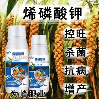 控旺用烯磷酸鉀效果,為峰肥業(yè)廠家電話