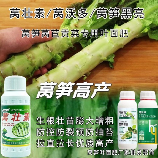 萵筍防抽苔萵筍增產(chǎn)葉面肥,萵筍葉面肥廠家