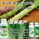 萵筍防裂萵筍黑亮葉面肥經(jīng)銷商,為峰肥業(yè)萵壯素產(chǎn)品圖