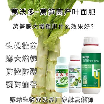 萵筍防空心萵筍增產(chǎn)葉面肥貼牌加工,萵筍葉面肥廠家