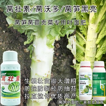 膨大增粗萵壯素葉面肥貼牌加工,萵筍葉面肥廠家